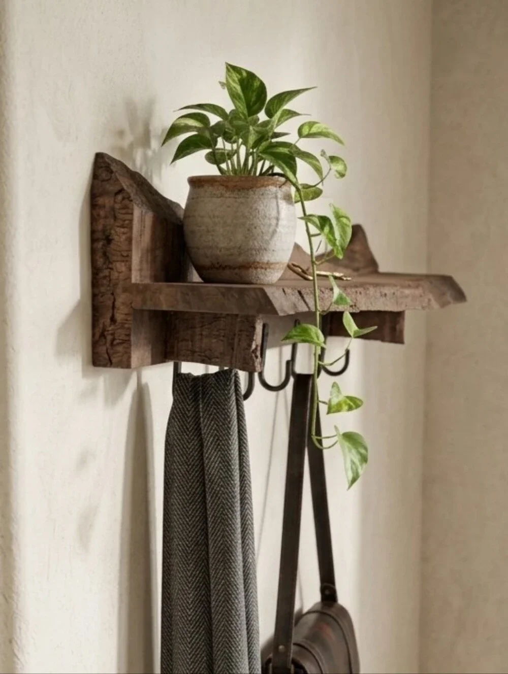 Rustic Live Edge Coat Rack with Top Shelf & Cast Iron Hooks
